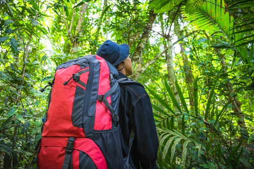 Trekking Hutan Lindung
